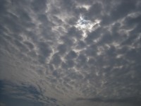 Dappled Grey Sky