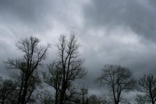 Dark Clouds Over Tsarskoe Selo