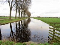 Dutch Landscape