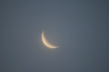 Early Evening Crescent Moon