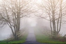 England Fog