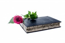 Flower And Book