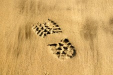 Footprint Shoe On Beach