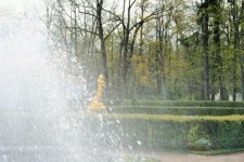 Fountain At Monplaisir Palace