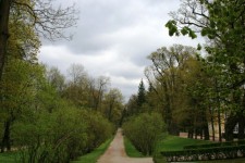 Gardens At Tsarskoe Selo Estate