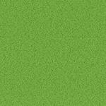 Grass Texture Background Green
