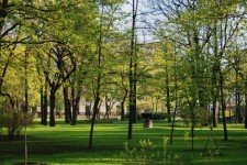 Green Park In St Petersburg