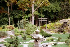 Japanese Garden 1