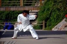 Kung Fu Pose