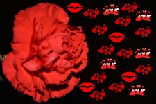 Love Red Hearts Love Flowers Art