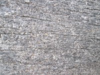 Stone Texture 5