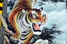 Tiger Illustration (a)