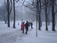 Winter In Smolensk