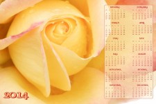 Yellow Rose Calendar 2014