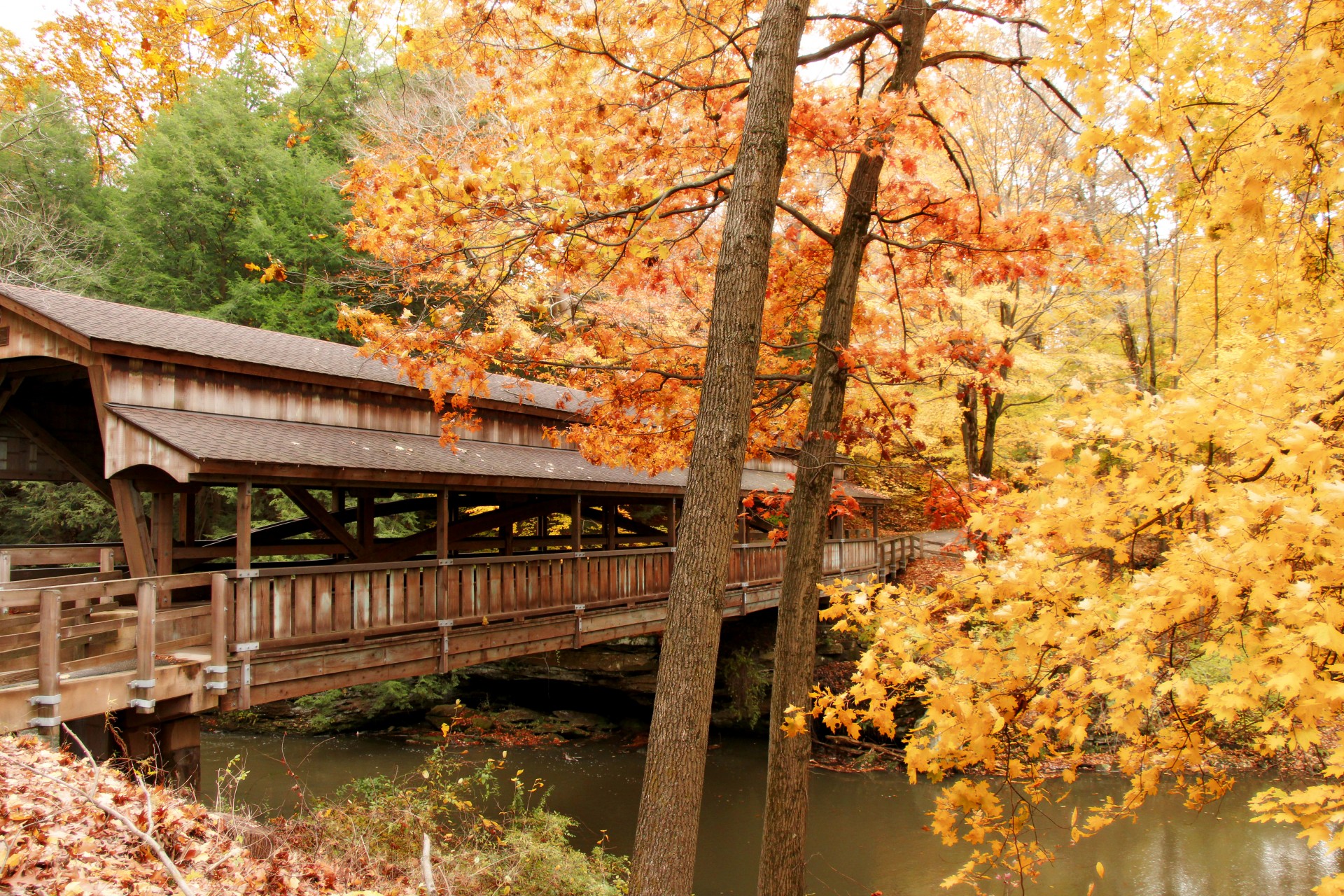 Covered Bridge With Autumn Leaves