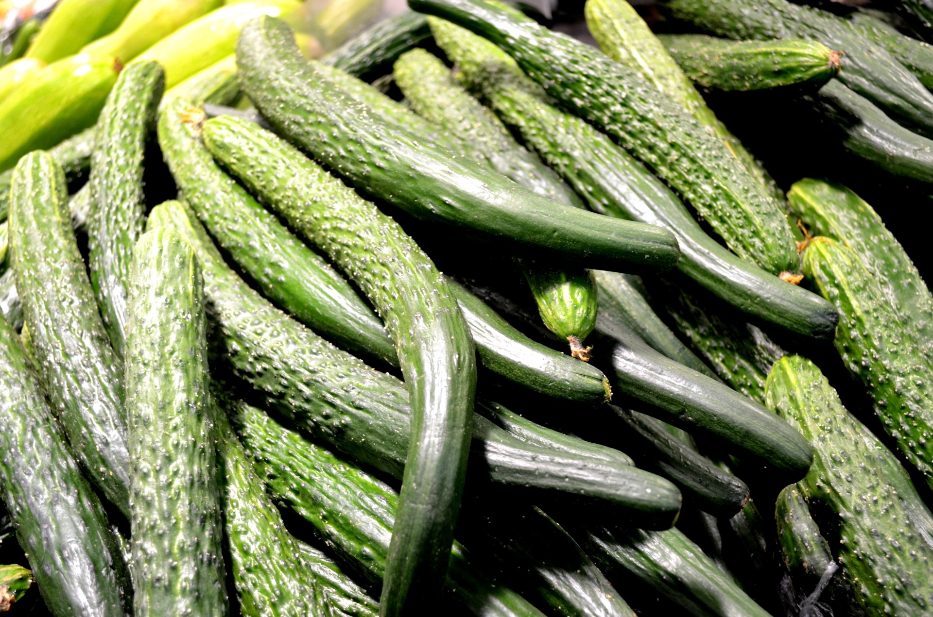 cucumbers on display