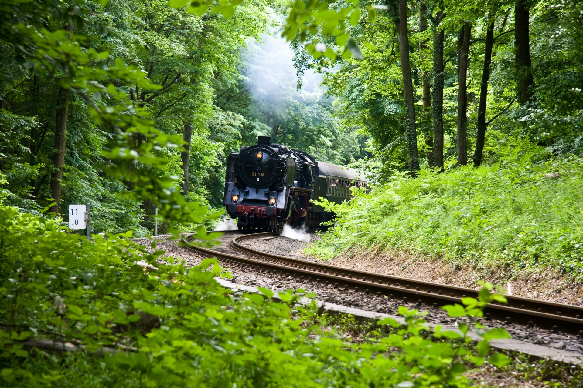 Steam locomotive on the road through the forest