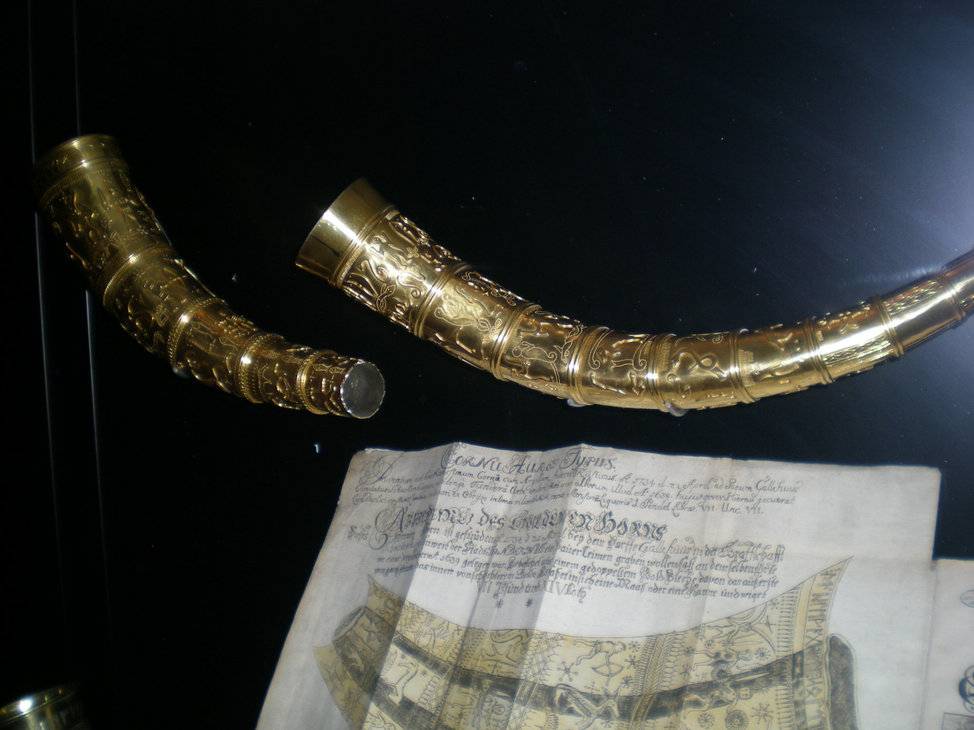 Gold Viking Horn