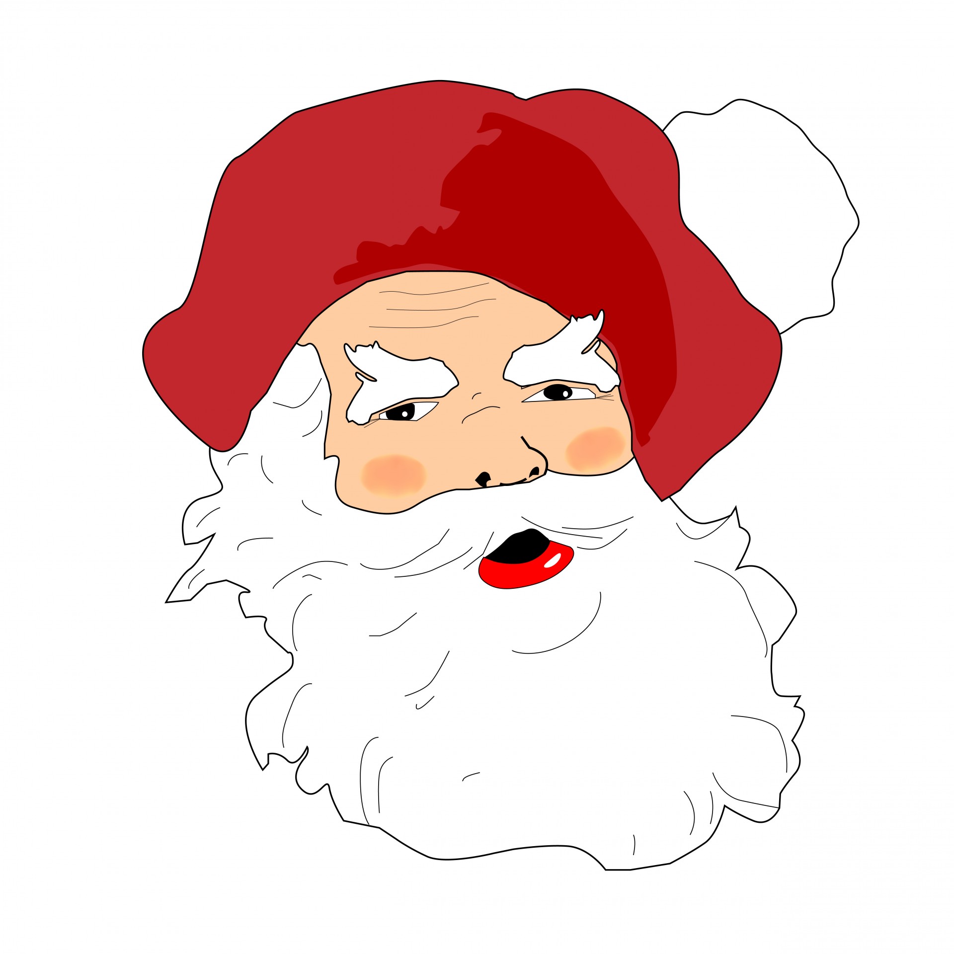 Santa Claus Christmas Face