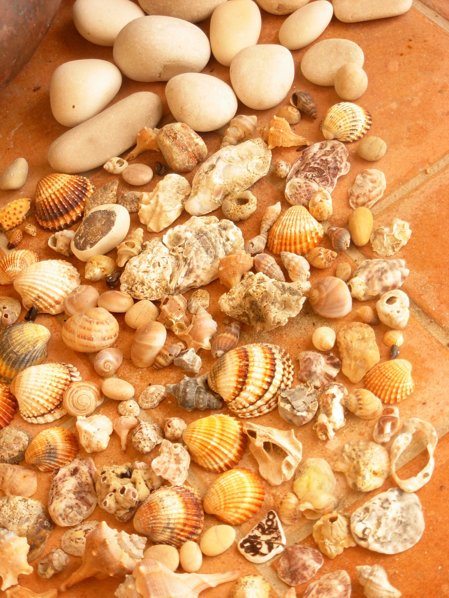 Stones And Shells