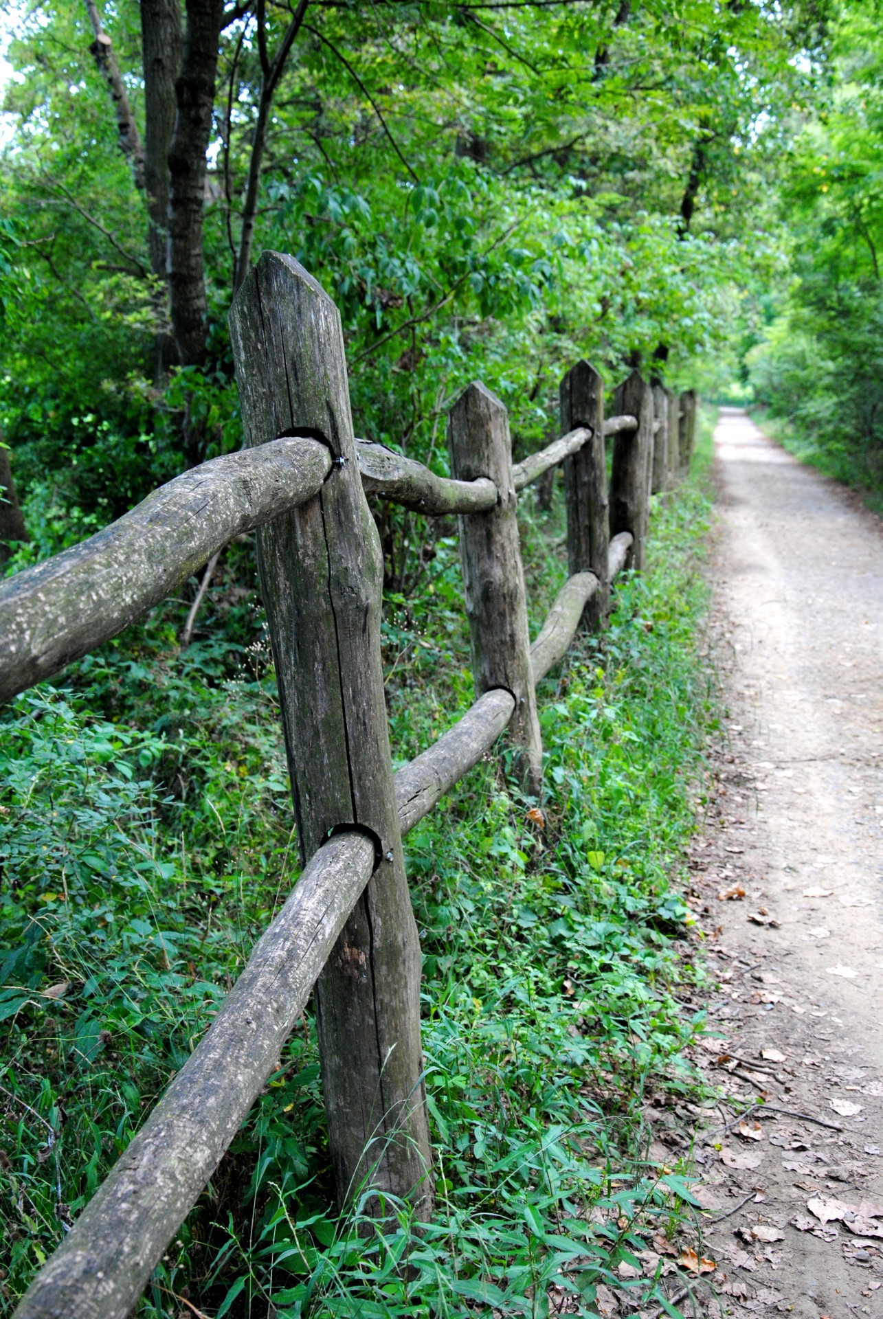 The lane road with wooden fence