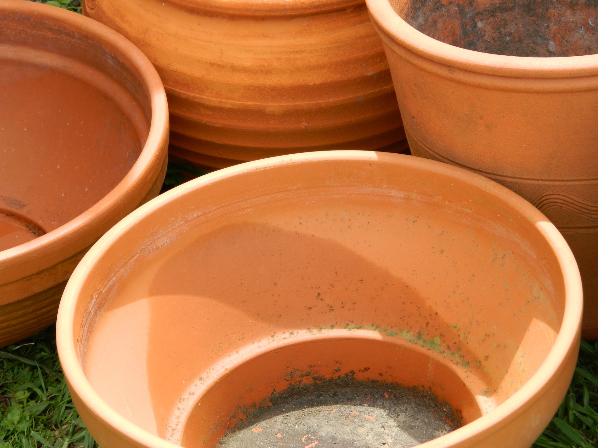 Terracotta Pots ready to plant