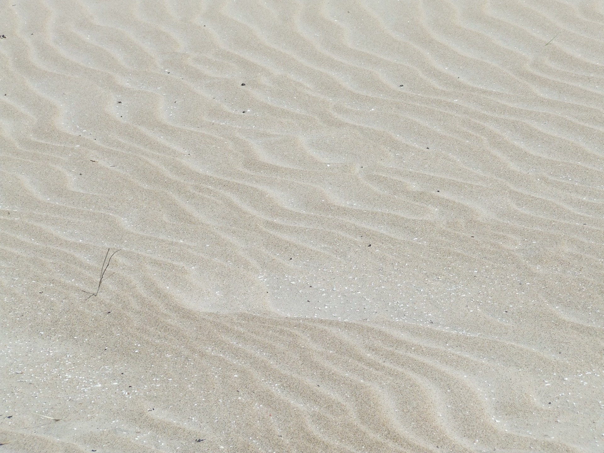 Sand Texture