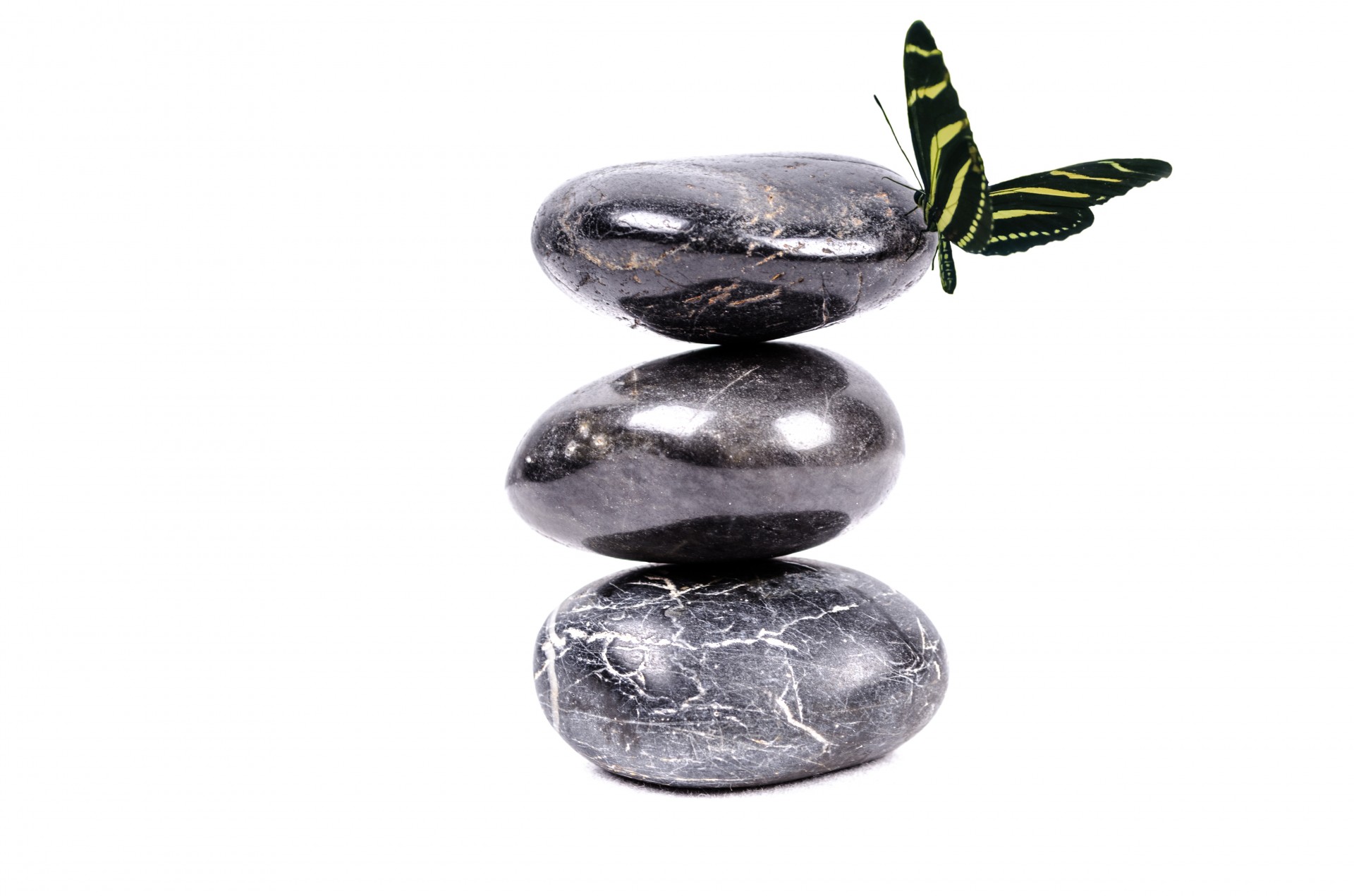 Zen Stones And Butterfly