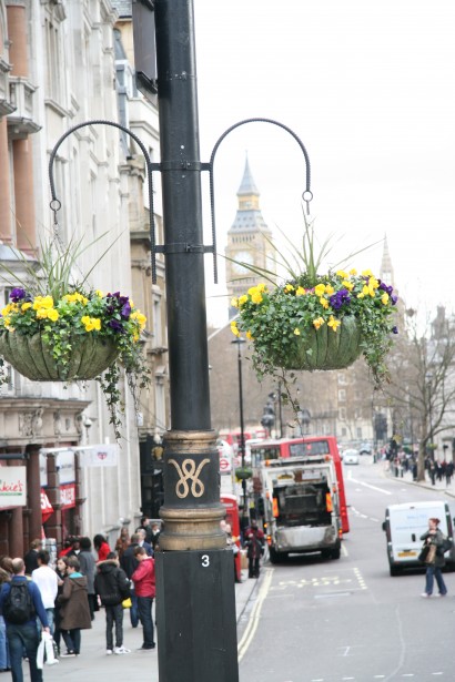 London Hanging Baskets Flowers Free Stock Photo - Public Domain Pictures