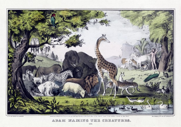 Vintage Animal Poster Free Stock Photo - Public Domain Pictures
