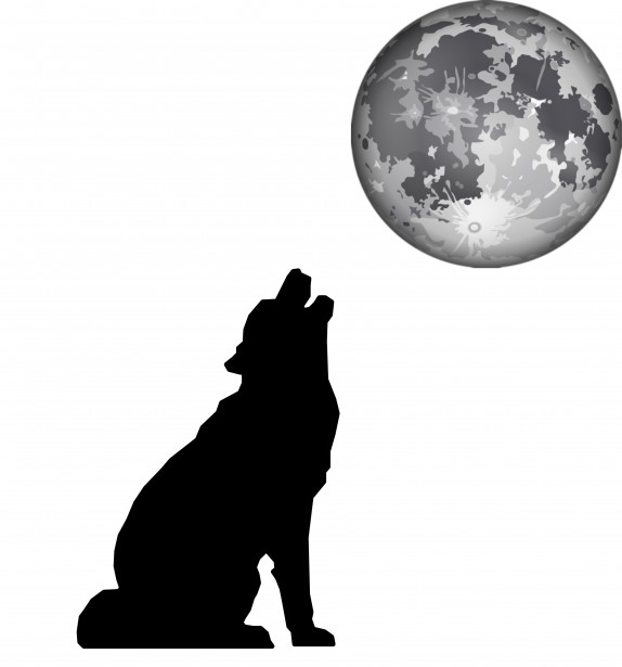 discordie veni te enervează poze cu un lup care urla la luna Gustare văr  Bourgeon