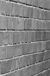 Brick Wall Black & White