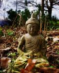 Buddha Meditating