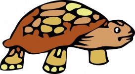 Cartoon Tortoise Clipart