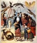 Circus Dogs Vintage Poster