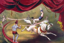 Circus Horse Acrobat Painting