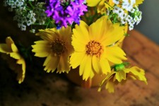 Dainty Yellow & Purple Flowers