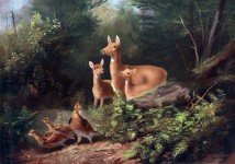 Deer In Woods Painting