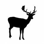 Deer Silhouette Clipart