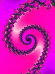 Fractal Spiral On A Pink Background