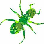 Green Ant II
