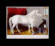 Horse & Dog Painting