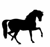 Horse Silhouette Clipart