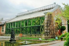 Hothouse, Botanical Gardens, Moscow