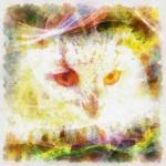 Owl Digital Painting