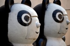 Panda Heads