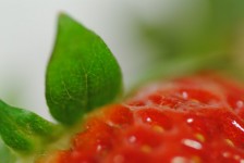 Detail Of Strawberry