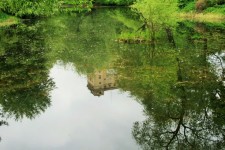 Pond, Botanical Gardens, Moscow