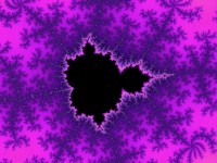 Purple Fractal Mandelbrot