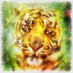 Tiger Digital Painting